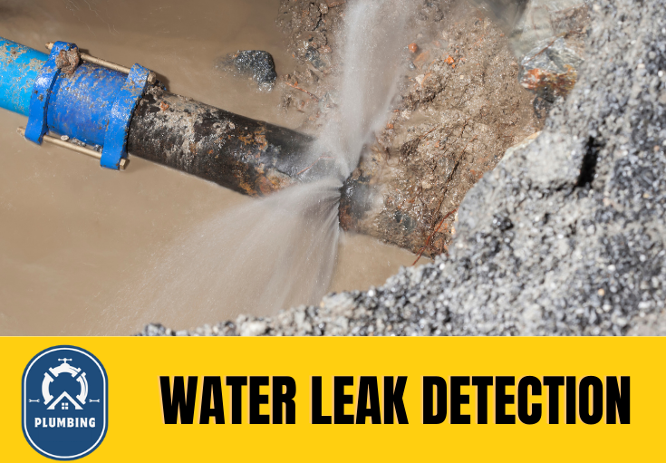 leak detection Maghull